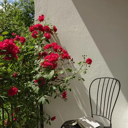 Apartamento Doma